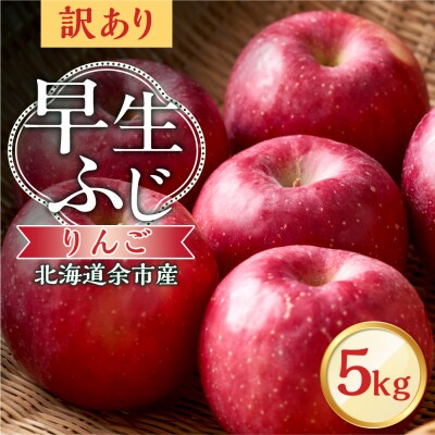 【先行受付:2026年10月中旬より発送】訳アリ りんご(早生ふじ)5kg_Y103-0090