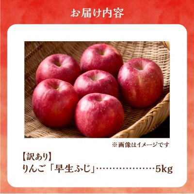 【先行受付:2026年10月中旬より発送】訳アリ りんご(早生ふじ)5kg_Y103-0090