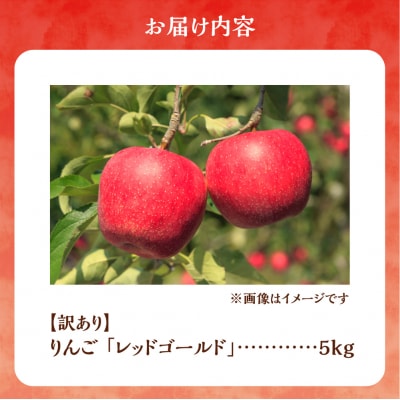 【先行受付:10月中旬より発送】訳アリ りんご(レッドゴールド)5kg_Y103-0083