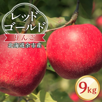 【先行受付:10月中旬より発送】りんご(レッドゴールド)9kg_Y103-0085