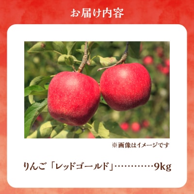 【先行受付:10月中旬より発送】りんご(レッドゴールド)9kg_Y103-0085