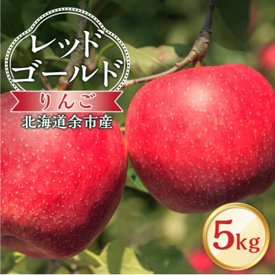 【先行受付:2026年10月中旬より発送】りんご(レッドゴールド)5kg_Y103-0086