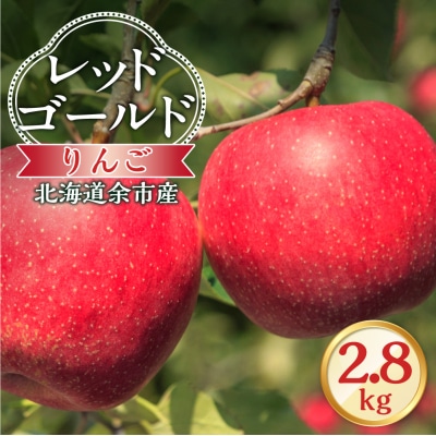 【先行受付:2026年10月中旬より発送】りんご(レッドゴールド)2.8kg_Y103-0087