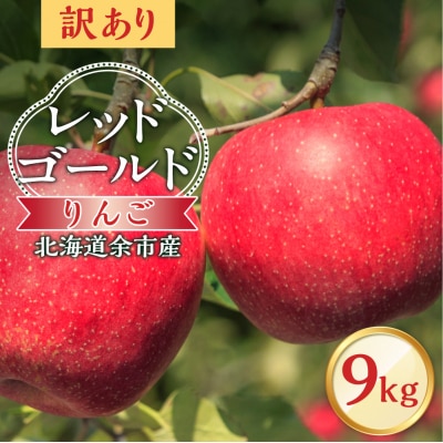 【先行受付:10月中旬より発送】訳アリ りんご(レッドゴールド)9kg_Y103-0082