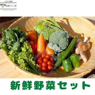 新鮮野菜セット〔CH-07〕