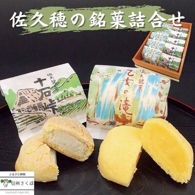 佐久穂老舗銘菓 幸盛堂の生菓子2種セット Ch 06 お礼品詳細 ふるさと納税なら さとふる