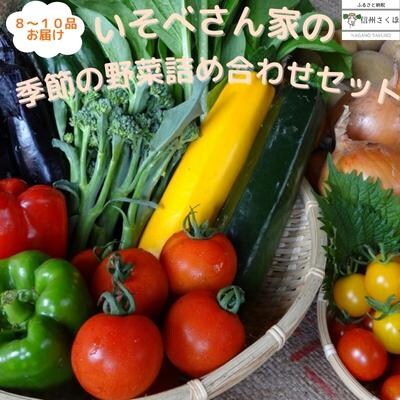 季節の野菜詰め合わせセット〔IV-01〕