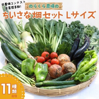 信州北八ヶ岳からお届け～ちいさな畑セット～(Lサイズ　3～4人前)有機野菜〔NK-02〕