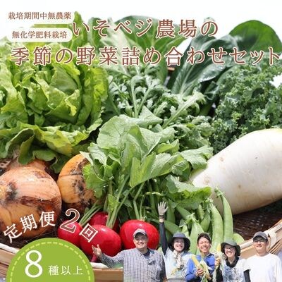 季節の野菜詰め合わせセット 2回定期便〔IV-02〕