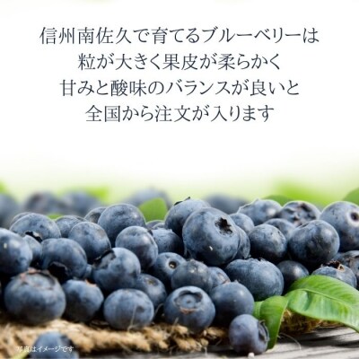 特選!朝摘みブルーベリー　箱詰め500g×4パック　計約2kg×1箱　〔YU-01〕