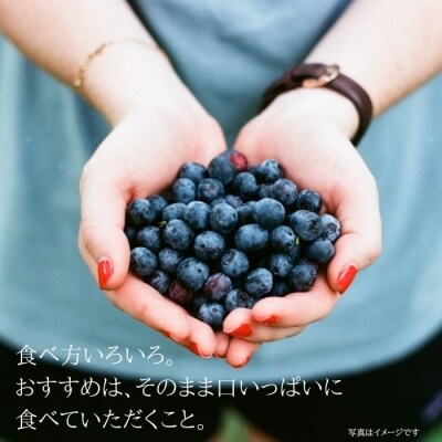 特選!朝摘みブルーベリー　箱詰め500g×4パック　計約2kg×1箱　〔YU-01〕