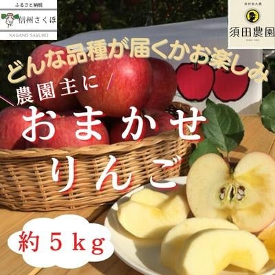 須田農園 農家にお任せ!旬のリンゴ 5キロ箱【期間限定】〔SU-05〕