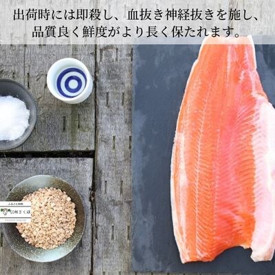 舌の上でとろける　信州サーモン　カット済み冷凍　4パック〔YG-12-13〕
