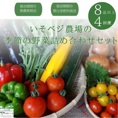 いそベジ農場の季節の野菜詰め合わせセット　定期便　4回便〔IV-04〕