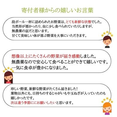 【先行受付・2025年発送】いそベジ農場の季節の野菜詰合せセット　定期便　6回〔IV-06〕