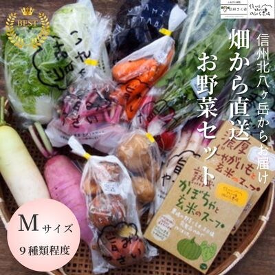 信州北八ヶ岳からお届け～ちいさな畑セット～(Mサイズ　2～3人前)有機野菜〔NK-01〕