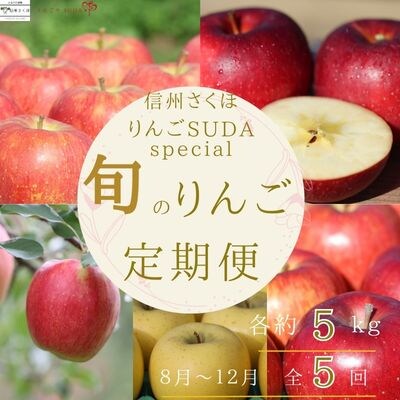 りんごやSUDA　スペシャルセット　旬のりんご定期便　5kg入り贈答箱【限定50箱】〔RS-10〕