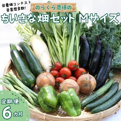 定期便　6カ月　信州北八ヶ岳からお届け～ちいさな畑セット～(Mサイズ　2～3人前)〔NK-01-6〕