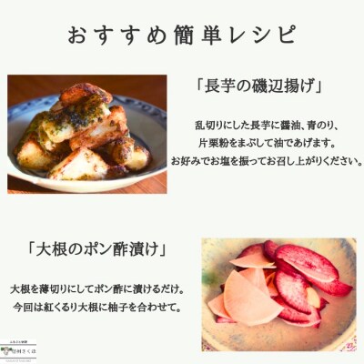 定期便　4カ月　信州北八ヶ岳からお届け～ちいさな畑セット～(Lサイズ　3～4人前)〔NK-02-4〕