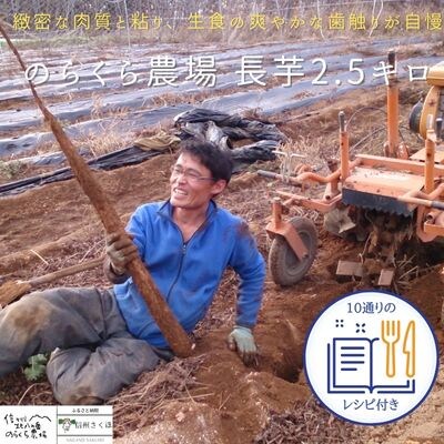のらくら農場　味に自信あり!北八ヶ岳の長芋　2.5キロ　レシピ付き〔NK-05〕