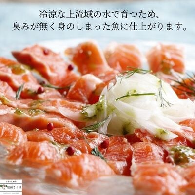 舌の上でとろける　信州サーモン　冷凍　4パック〔YG-10-13〕