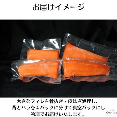舌の上でとろける　信州サーモン　冷凍　4パック〔YG-10-13〕