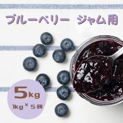 栽培方法と鮮度にこだわった　朝摘みブルーベリー　ジャム用　1kg×5袋　計5kg　〔IK-02-5〕