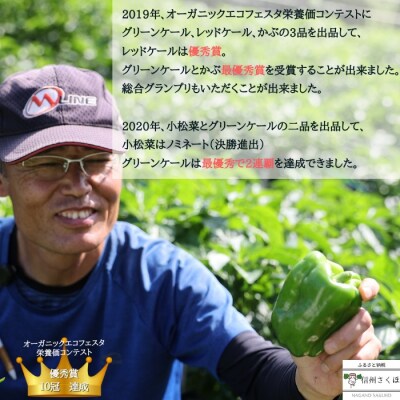 定期便　3カ月　信州北八ヶ岳からお届け～ちいさな畑セット～(Mサイズ　2～3人前)〔NK-01-3〕