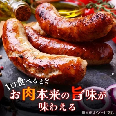 「贅沢11種類」ソーセージ食べ比べセット 11種 計990g (豚肉を楽しむ) 安城ハム