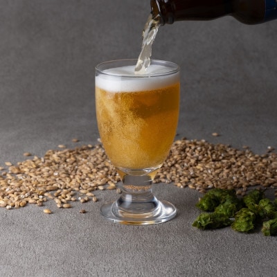 安城産大麦使用クラフトビール2種4本詰め合わせセット