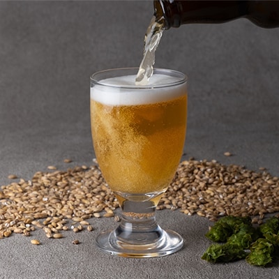 安城産大麦使用クラフトビール2種4本詰め合わせセット