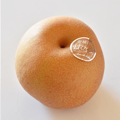 【限定15箱】 安城梨 甘ひびき 3kg 希少品種 2025年発送【さとふる限定】