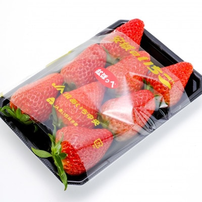 【碧海そだち】安城いちご『紅ほっぺ』&『ゆめのか』食べ比べセット　計4パック