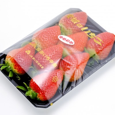 【碧海そだち】安城いちご『紅ほっぺ』&『ゆめのか』食べ比べセット　計4パック