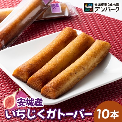 安城産業文化公園デンパークの「安城産いちじくガトーバー10本」