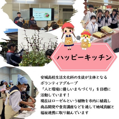 デンパーク入園券2枚+ローゼルジェラート引換券2枚/愛知県安城市