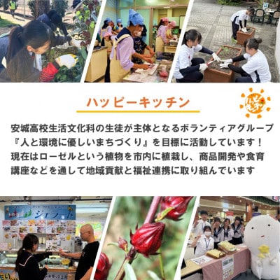 デンパーク入園券2枚+ローゼルジェラート引換券2枚+パン作り体験券1枚/愛知県安城市