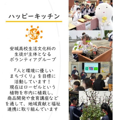 デンパーク入園券2枚+ローゼルジェラート引換券2枚+マグカップ絵付け体験券1枚/愛知県安城市