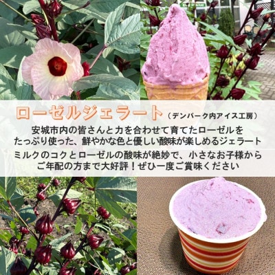 デンパーク入園券2枚+ローゼルジェラート引換券2枚+スノードーム作り体験券1枚/愛知県安城市