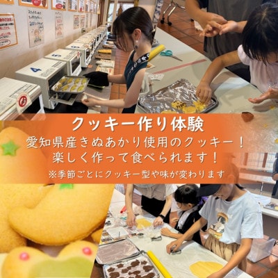 デンパーク入園券2枚+ローゼルジェラート引換券2枚+クッキー作り体験券1枚/愛知県安城市