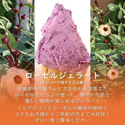 デンパーク入園券2枚+ローゼルジェラート引換券2枚+クッキー作り体験券1枚/愛知県安城市