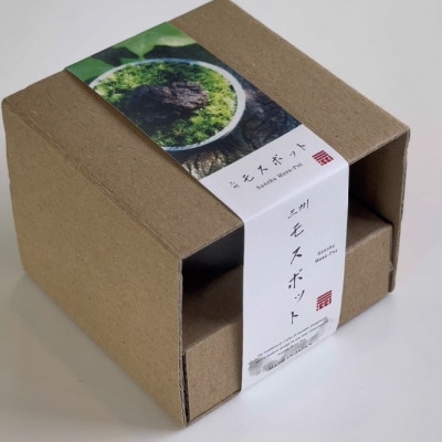 三州モスポット(sanshu moss pot)