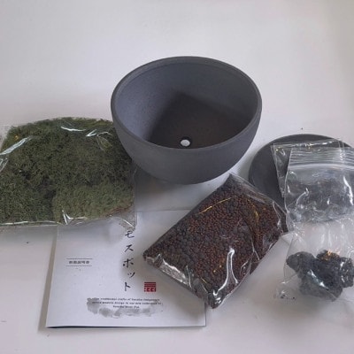 三州モスポット(sanshu moss pot)