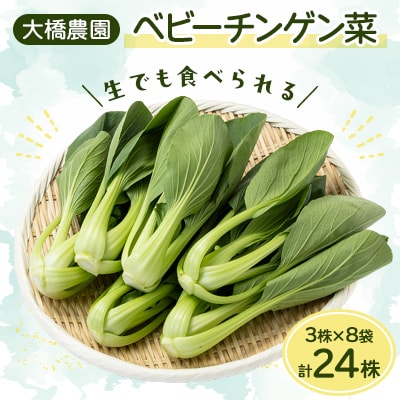大橋農園のベビーチンゲン菜:3株入り×8袋