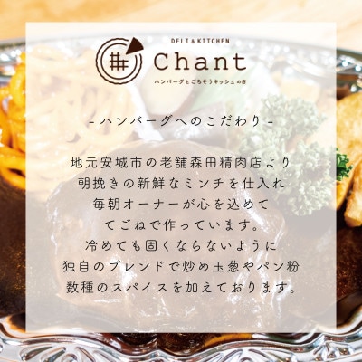 【デミグラスソース】こだわりのあいち牛『肉汁』ハンバーグ　10個セット　おいしい食べ方レシピ付き