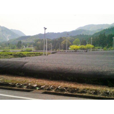 東陽園の日本銘茶紀行ティーバッグG(かぶせ茶×5袋)