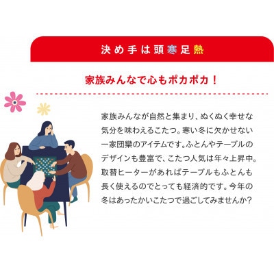 愛知県安城市　こたつ用取替ヒーターMSU-501H(KB)