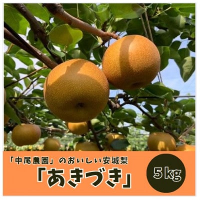安城梨　あきづき　5kg(大玉)