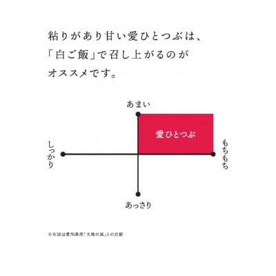 令和7年産 愛知県産 ブランド米 愛ひとつぶ 5kg×2袋　パールライス 安城工場精米