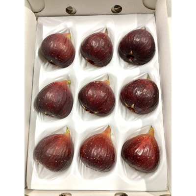 皮がおいしい栽培期間中農薬不使用の完熟いちじく　約1kg　愛知県安城産